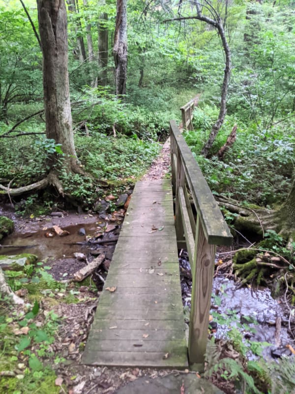 Blue Ridge Parkway Virginia Hikes: Bridge on the Rock Castle Gorge Loop Trail