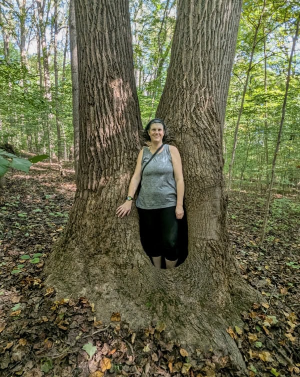 Big Walnut Nature Preserve Bainbridge, Indiana