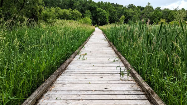 Dallas Lake Park, Wolcottville, Indiana. Has a beautiful hiking trail. 